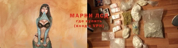 ПСИЛОЦИБИНОВЫЕ ГРИБЫ Галич
