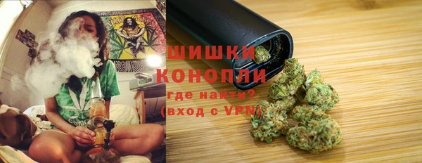 индика Гвардейск