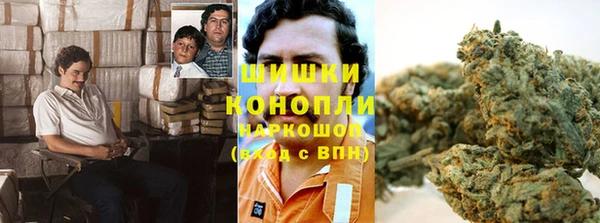 индика Гвардейск