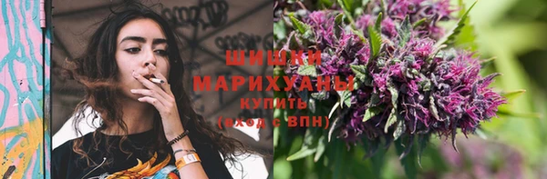 дживик Гатчина