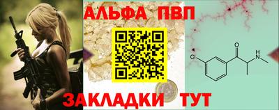 хмурый Кингисепп