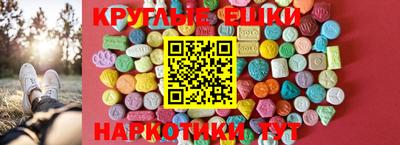 хмурый Кингисепп