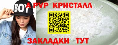 хмурый Кингисепп