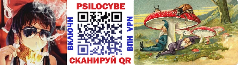 Галлюциногенные грибы ЛСД Унеча