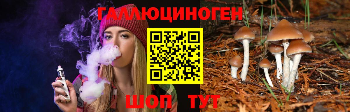 Галлюциногенные грибы Psilocybine cubensis  Псилоцибиновые грибы MAGIC MUSHROOMS  Унеча 