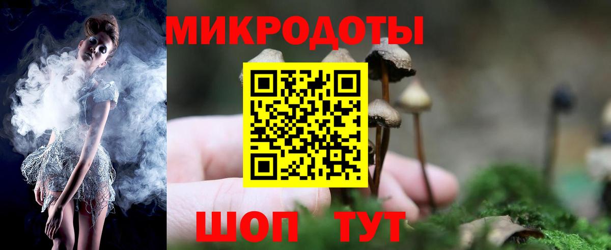 Унеча  Галлюциногенные грибы Psilocybine cubensis  Вход с VPN  Галлюциногенные грибы ЛСД 